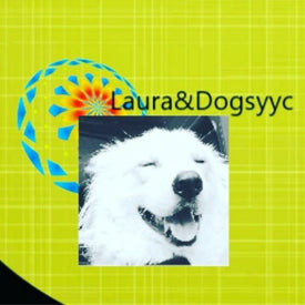 Laura and Dogs is a Calgary dog walker that practices sustainability by using SCHOEP compostable dog poop bags